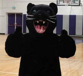 Creating a Memorable Fan Experience with the Suny Panther Mascot